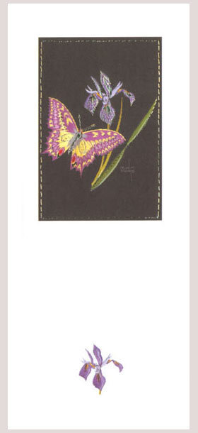 Helen M Stevens - Swallowtail butterfly and iris