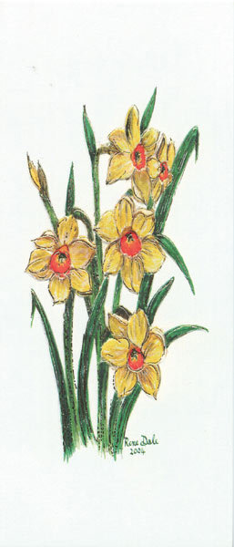 Daffodils