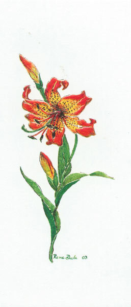 Flower