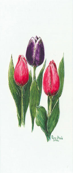 Tulips