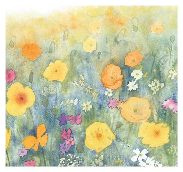 Penny Silverthorne - Nasturtiums