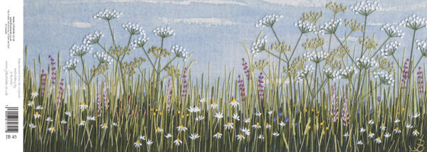 Jo Butcher - daisies by the coast