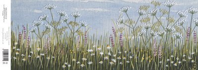 Jo Butcher - daisies by the coast