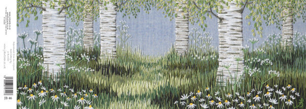 Jo Butcher - daisies by the silver birches