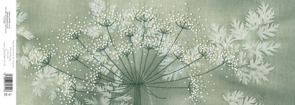 Jo Butcher - cow parsley