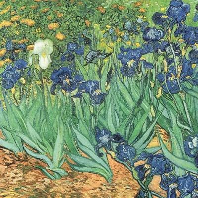 Irises by Van Gogh