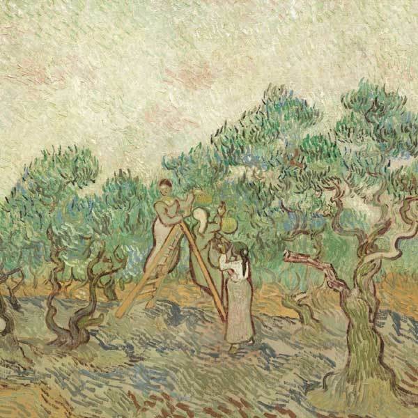 The Olive Orchard by Van Gogh