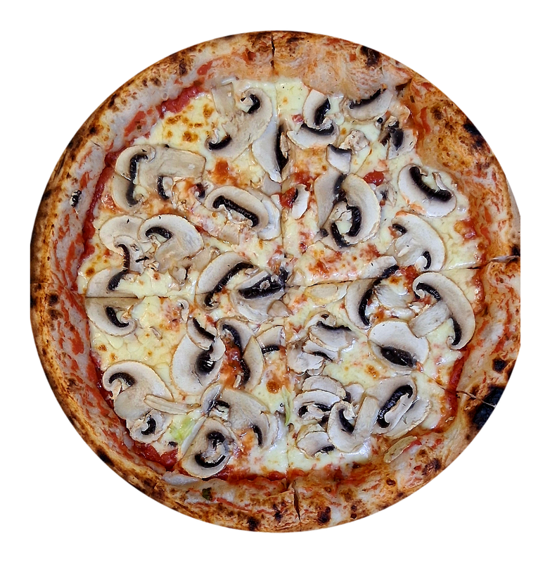 Pizza Funghi