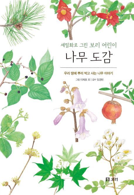 세밀화로 그린 보리 어린이 나무 도감 (시리즈 4권)