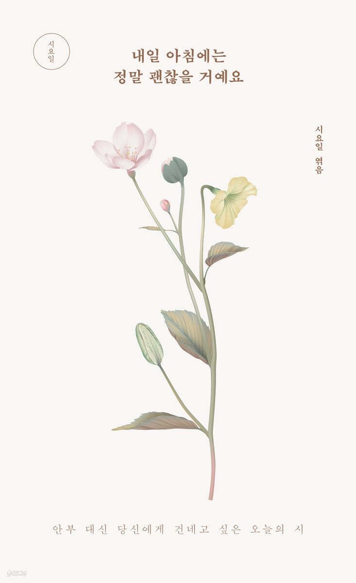 내일 아침에는 정말 괜찮을 거예요