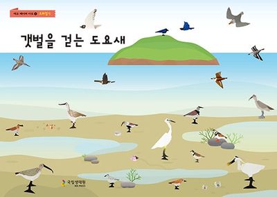 갯벌을 걷는 도요새