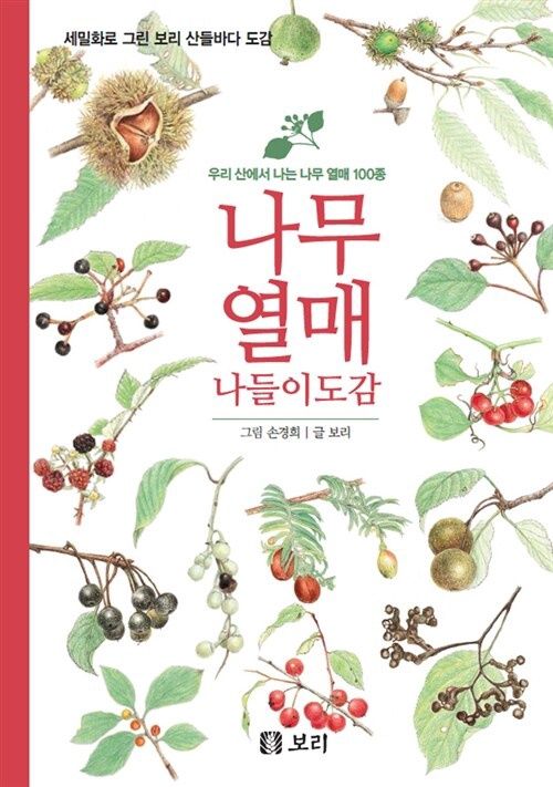 나무 열매 나들이도감 - 우리 산에서 나는 나무 열매 100종