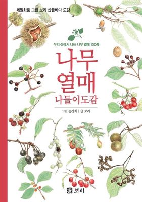 나무 열매 나들이도감 - 우리 산에서 나는 나무 열매 100종