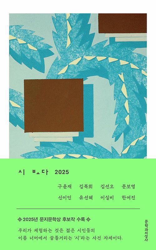 시 보다 2025