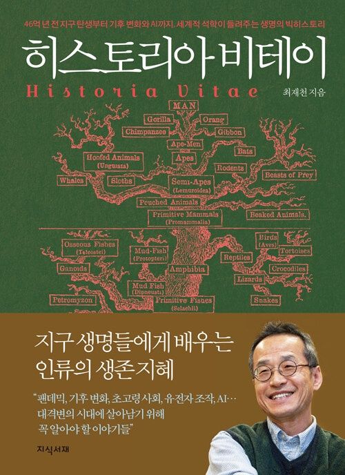 히스토리아 비테이 히스토리아 비테이