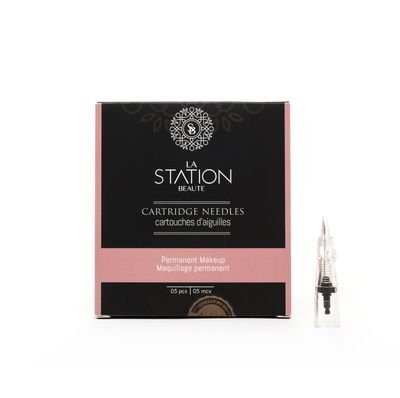 Aiguille de maquillage permanent (5/bte)