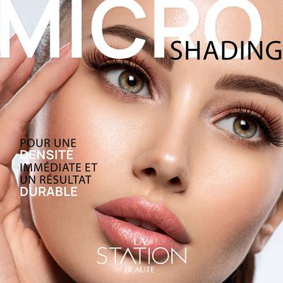 Formation Microshading E-Learning (trousse incluse)