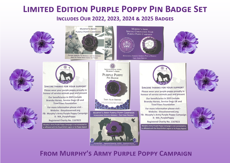 Limited Edition Set of 4 Purple Poppy Pin Badges - 2022 to 2025