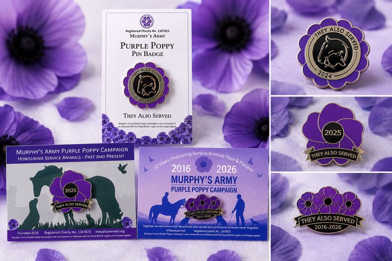 Limited Edition Set of 3 Purple Poppy Pin Badges - 2024 to 2026