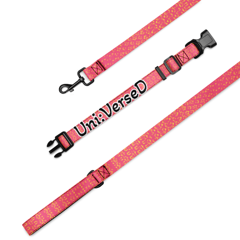 Medium size Pet collar & leash Medium size Pet collar & leash