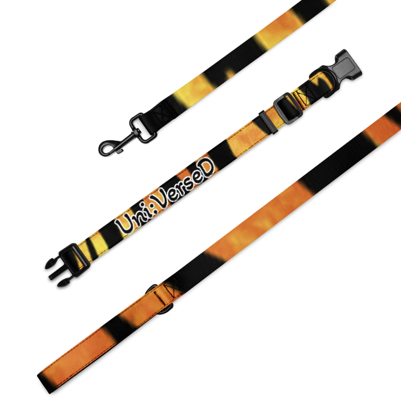 Uni:VerseD Large  Pet collar & leash