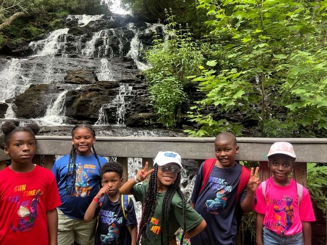 BLACK FRIDAY SPECIAL