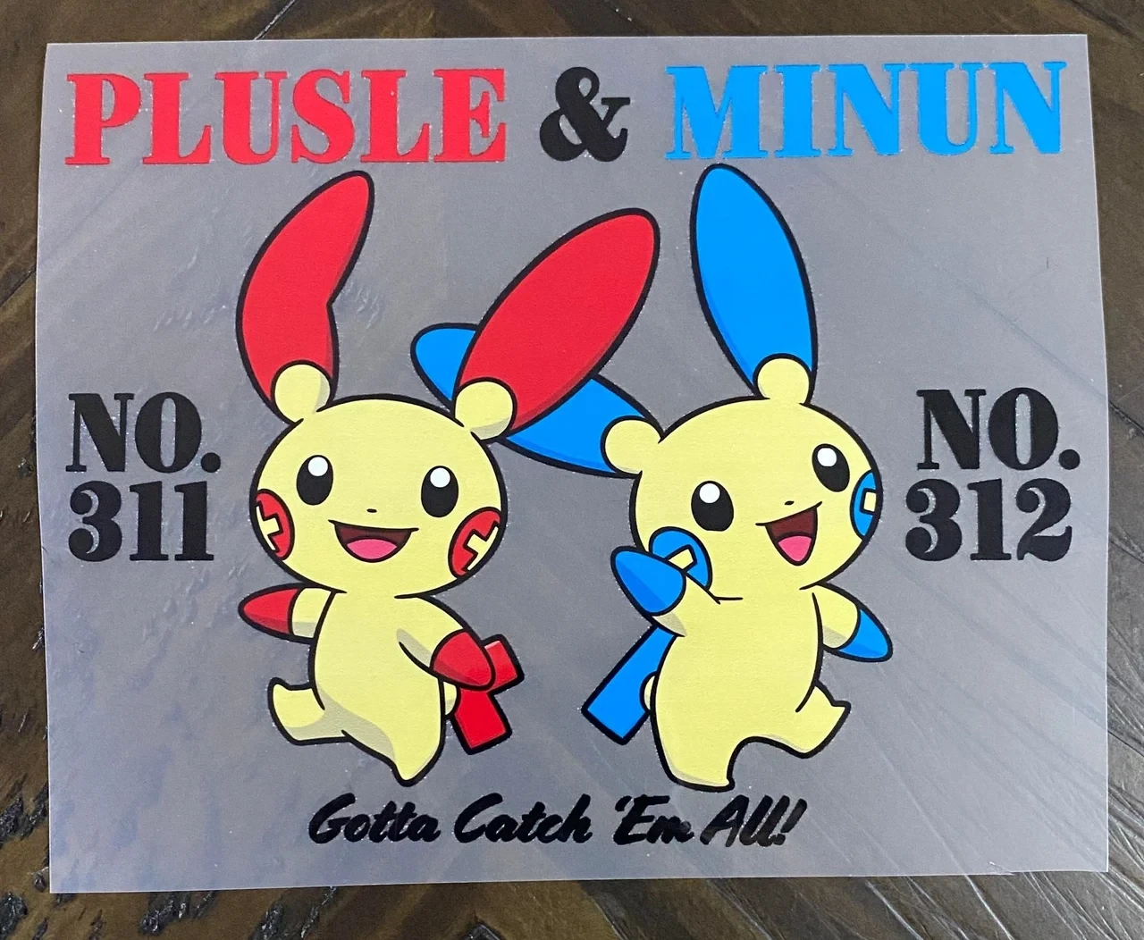 No. 311 &amp; 312 Catch Them All - DTF Transfer - Choose a Size