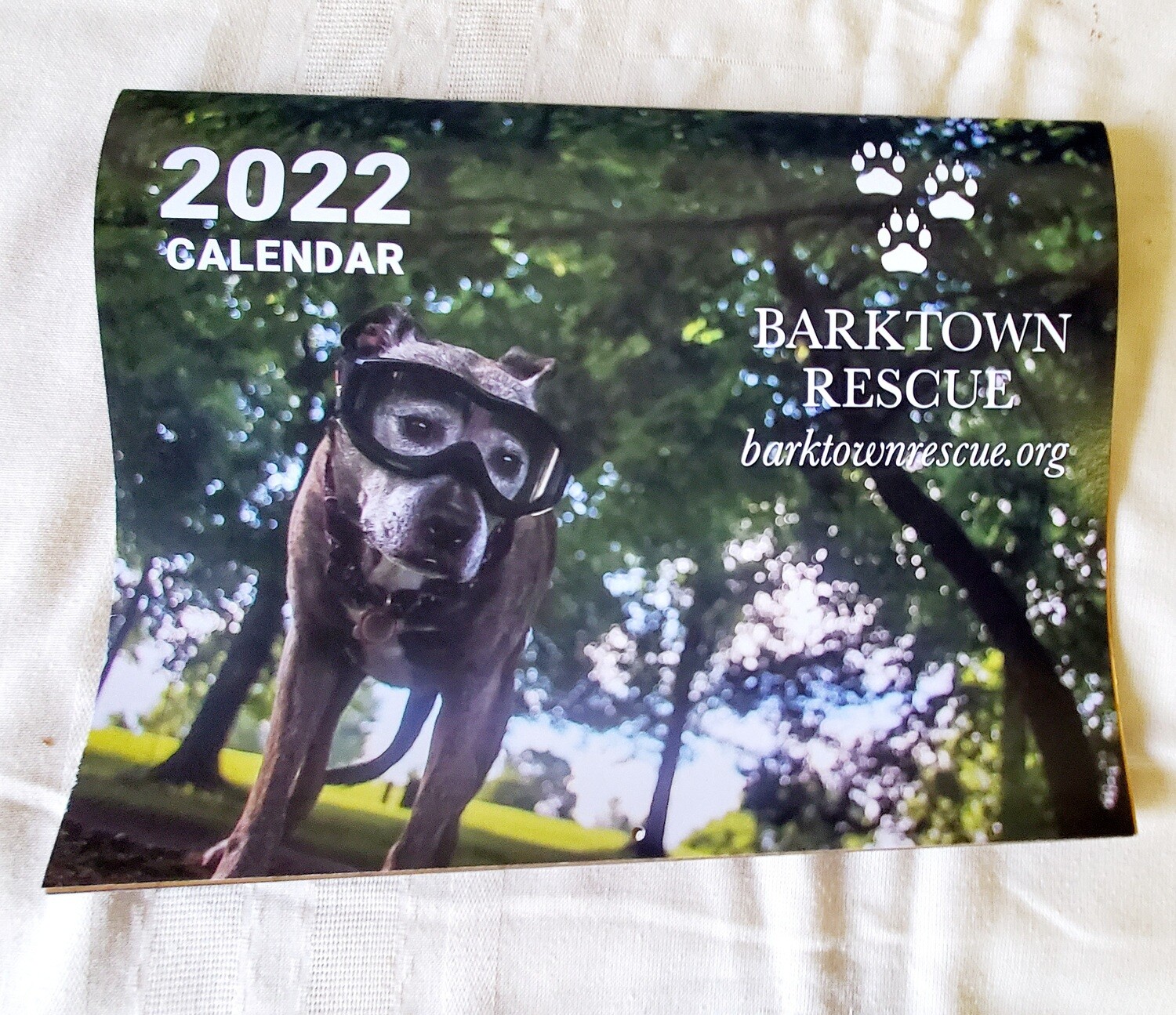 Barktown Rescue 2022 Calendar
