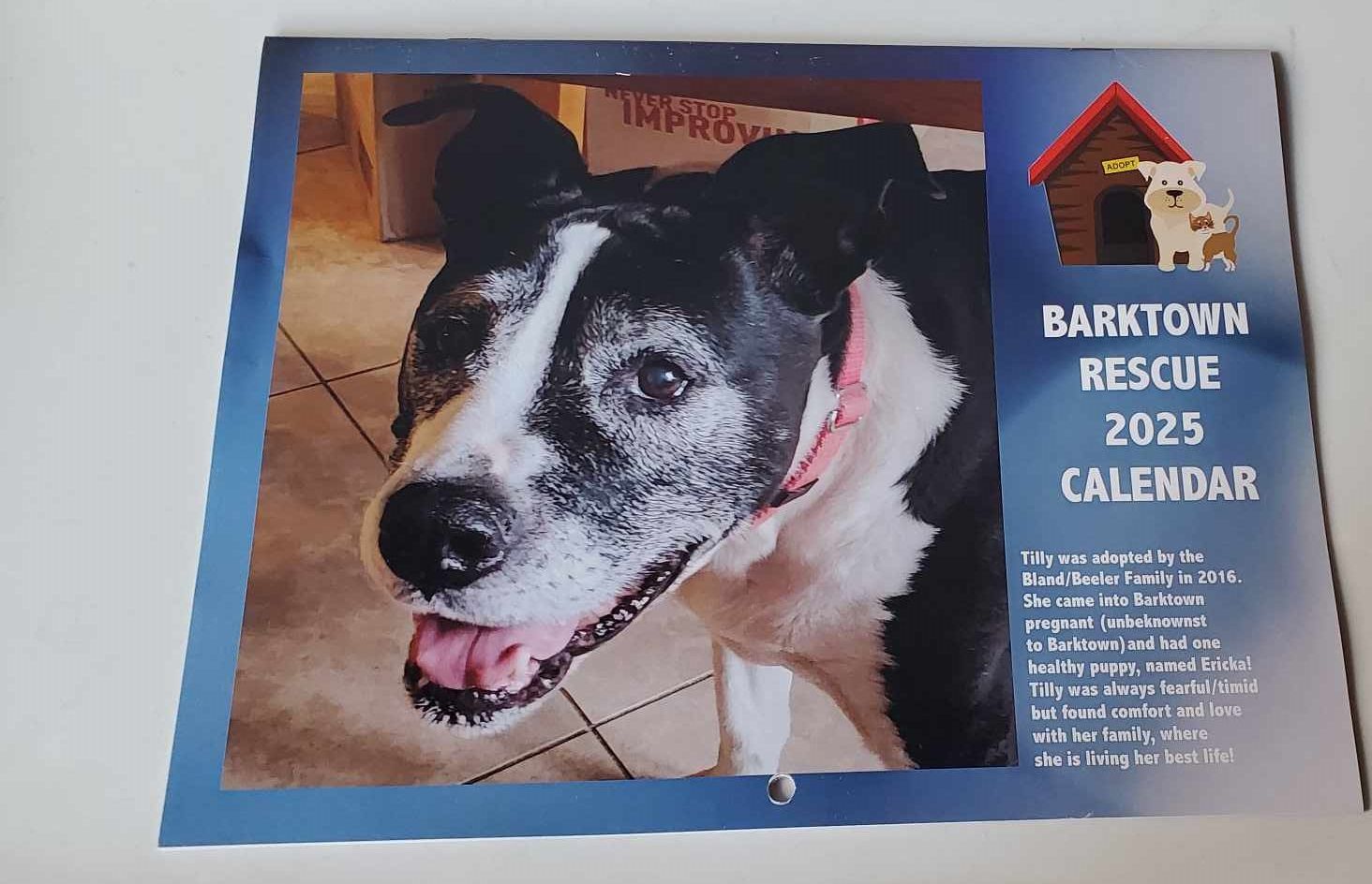 2025 Barktown Rescue Calendars