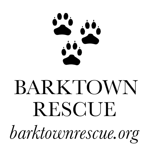 Barktown Rescue Online Store