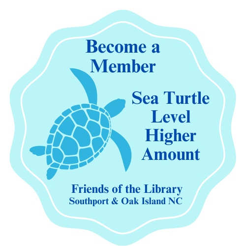 Sea Turtle Level