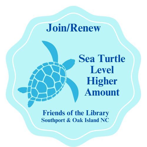 Sea Turtle Level