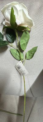 Cream Diamond Velvet Single Strem Rose 50cm