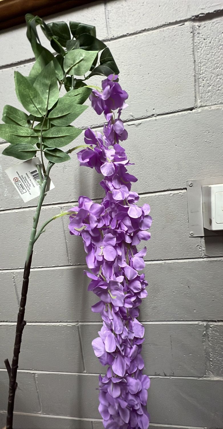 Purple Hydreanger Wisteria 164cm
