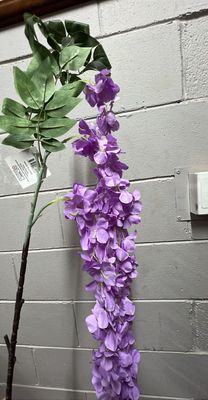Purple Hydreanger Wisteria 164cm