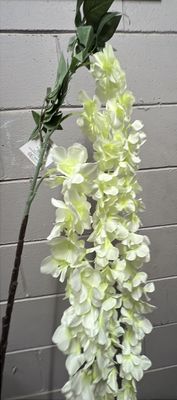 White Hydreanger Wisteria 164cm