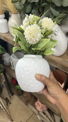 White Daisy in white pot 27 cm