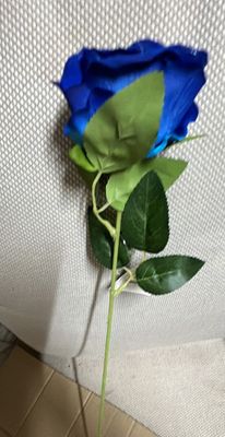 Royal Blue Diamond Velvet Single Stem Rose 50cm