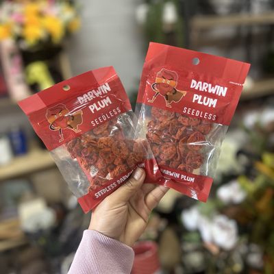 Darwin Red Seedless Plum