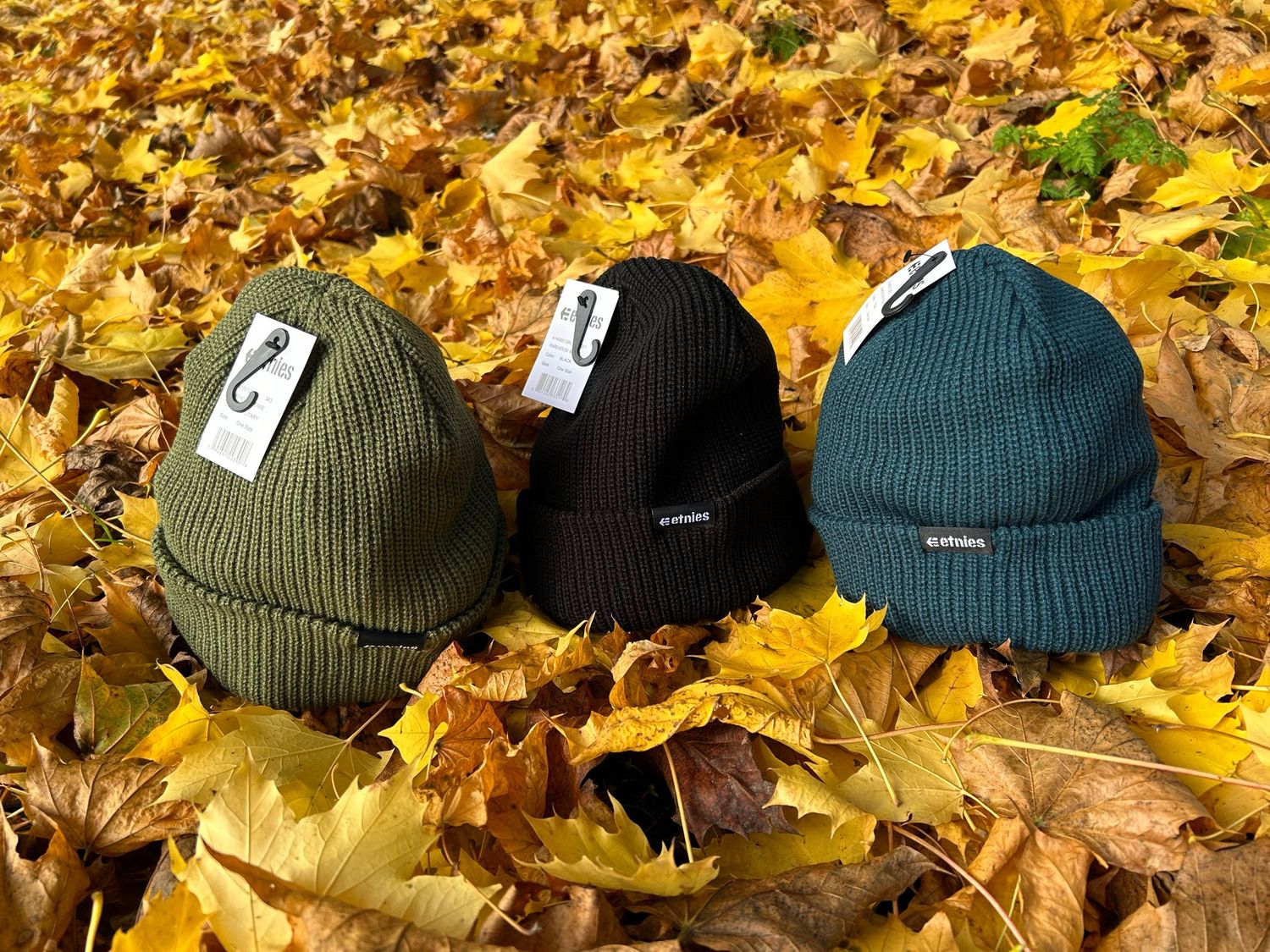 Etnies Beanies