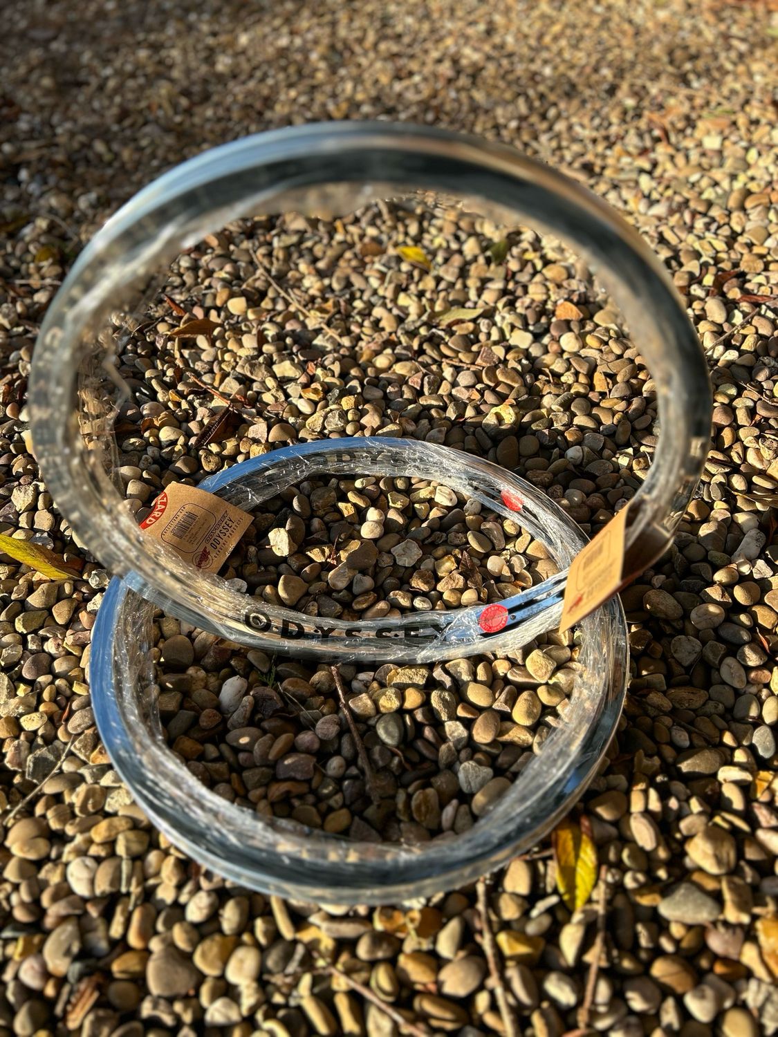 Odyssey Rims