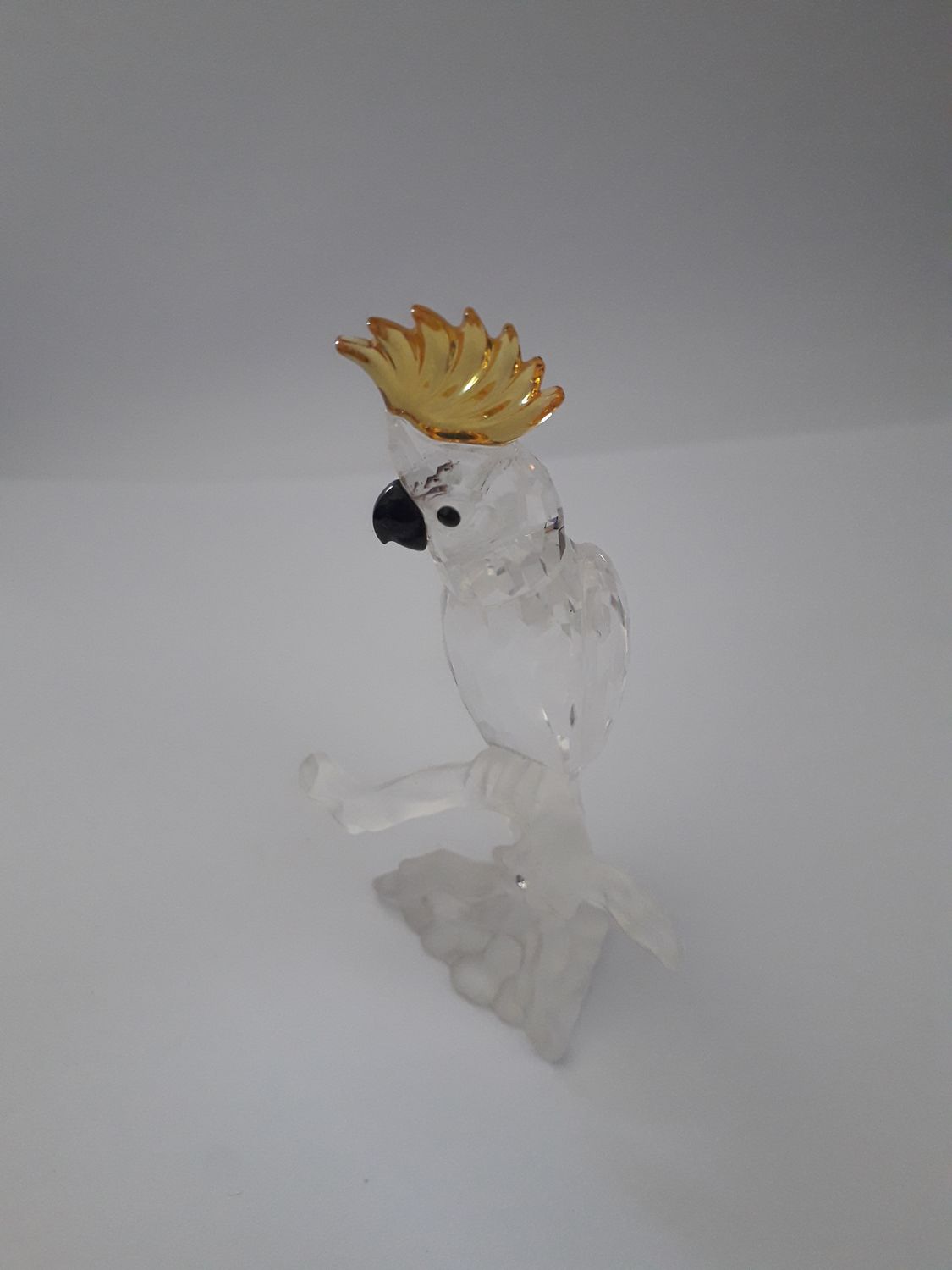 Kakadu Swarovskiego 261635
