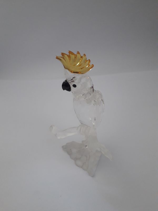 Kakadu Swarovskiego 261635