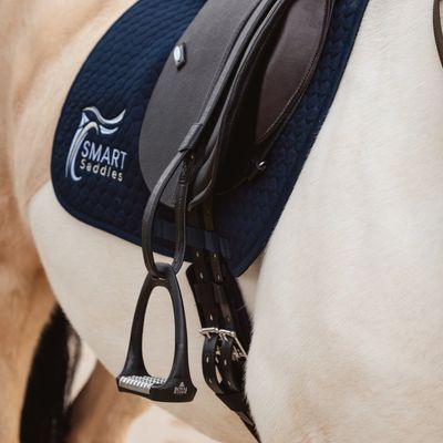 Stirrups &amp; Leathers