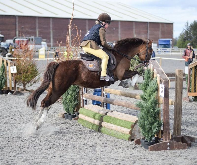 SMART™ Elite Pony Saddle