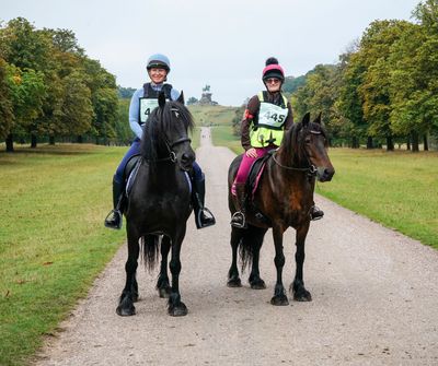 SMART™ Native Saddle Range