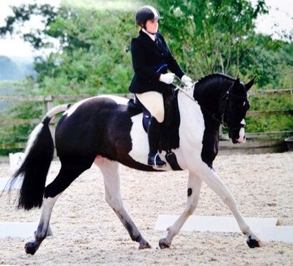 SMART VSD saddle