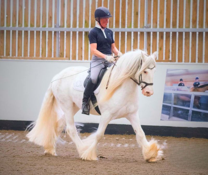 SMART™ Native Dressage saddle - Canada