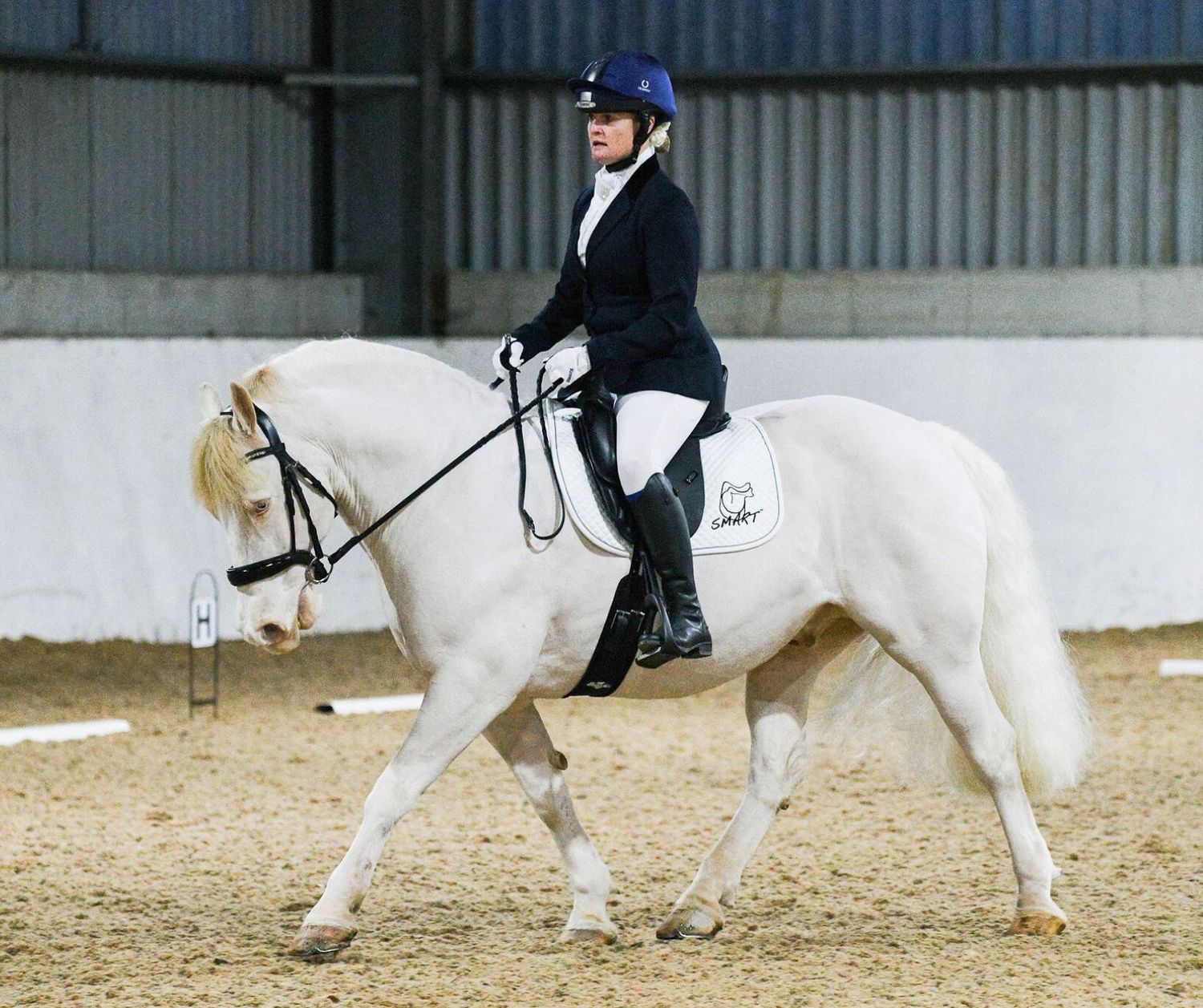 SMART™ Native Dressage saddle - sale