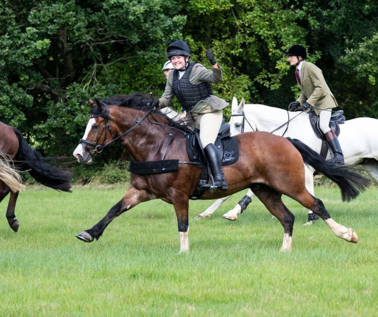 SMART™ Native GP saddle - sale